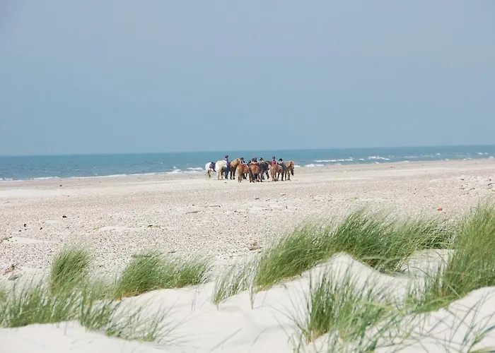 Port Arthursvej Xi Casa vacanze *